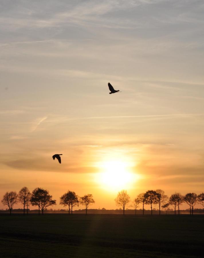 Slaaphutje Buitenwedde Westerwolde Bagian luar foto
