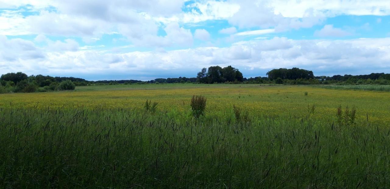 Slaaphutje Buitenwedde Westerwolde Bagian luar foto