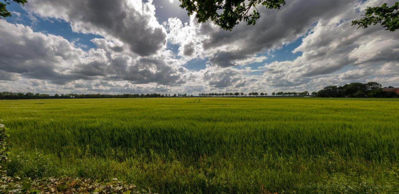 Slaaphutje Buitenwedde Westerwolde Bagian luar foto